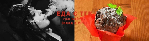 твердый Гусев