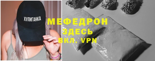 твердый Гусев