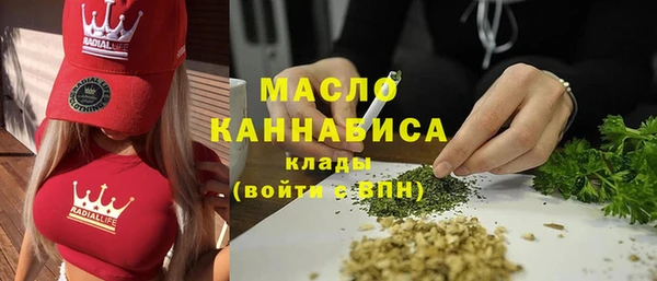твердый Гусев